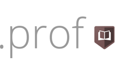 .PROF Domain Logo