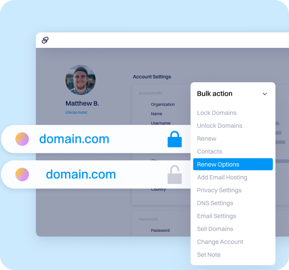 Bulk domain management screen with renewal options selected.